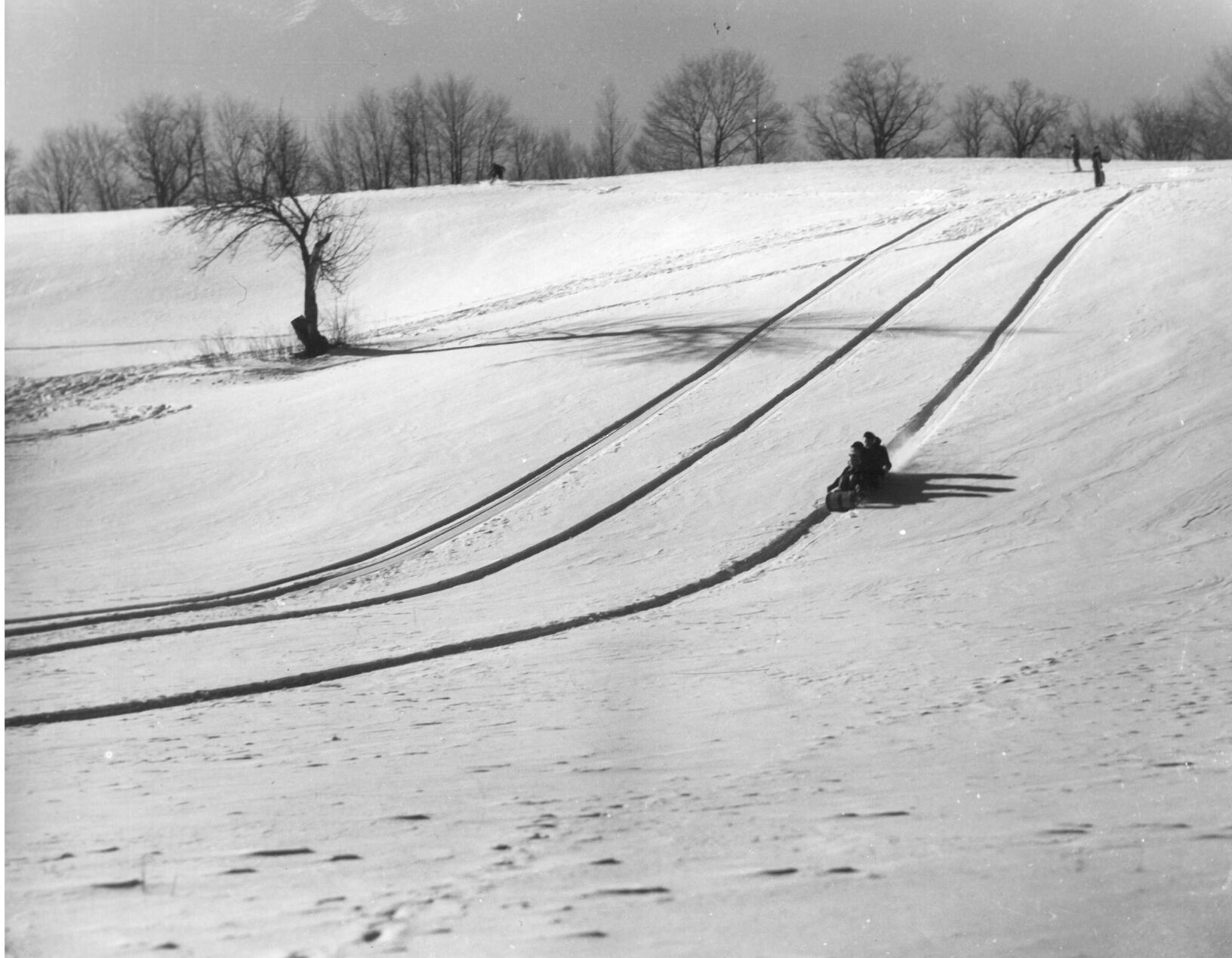 Sledding